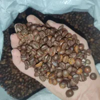 فروش انواع دانه قهوه عربیکا و ربوستا