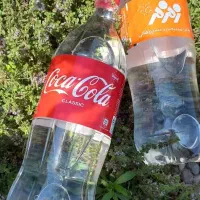 عرق کاکوتی یا عرق کوت کوته