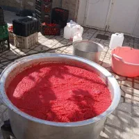 رب گوجه محلی درجه یک