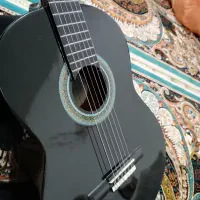 گیتار حرفه ای