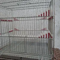قفسای سهره