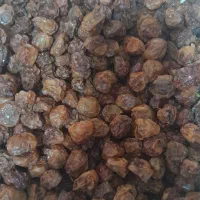 آلوچه خورشتی