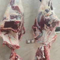 گوشت با قیمت مناسب برای رستوران ،کافه ،کبابی