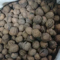 گردو تویسرکان