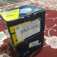 موتورفن امکوتوربودنایی