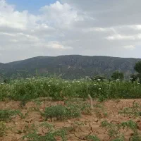زمین-فروشی