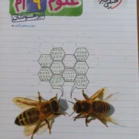 خیلی سبز علوم نهم تیزهوشان