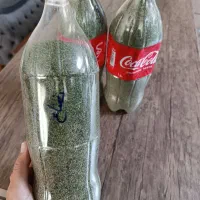 نعناع