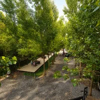 حس-تفاوت-در-خرید-شما-کلبه-چوبی