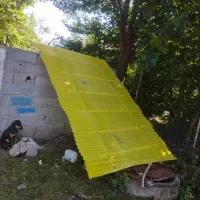 گاری فلافلی