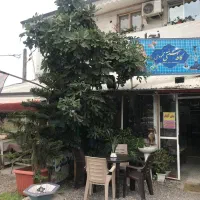 ملک تجاری مسکونی استاد معین گلسار