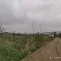 ۱۸هزارمترباغ/سنددار/ مجوز رسمی گلخانه‌/شهرغرق‌آباد