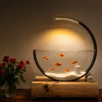 اکواریوم دکوراتیو