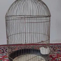قفس گرد سالم