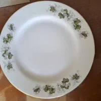 چینی لب طلایی مارک ژاپن