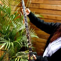 کلارینت بولرا (سل)