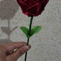 گل رز ربانی|گل مصنوعی|شاهین‌شهر, شیخ بهایی|دیوار