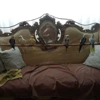 عروس هلندی