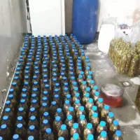 خیارشور