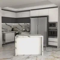 استخدام