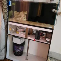 اکواریوم اب شور