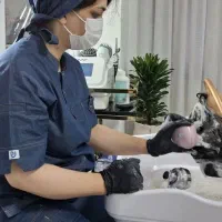 خدمات تخصصی اسکالپ اسکراب
