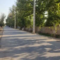 زمین-چهار-دیواری-باغی-نزدیک-خیابان-اصلی