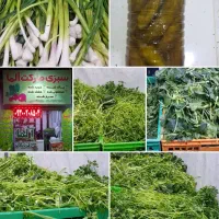 فروشندگی سبزی مارکت