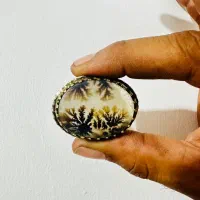 شجر قائم اصل