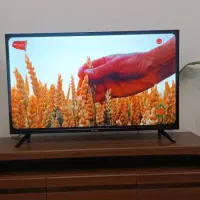 تلویزیون اسنوا۴۳