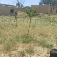 زمین-مسکونی-450-متر-مربع