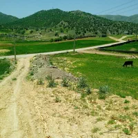 زمین|فروش زمین و ملک کلنگی|یاسوج, |دیوار