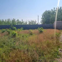فروش-450-متر-زمین-در-سیاهکل