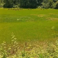 فروش زمین جهت کردشگری و بومگردی