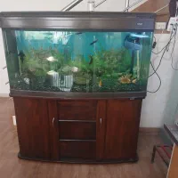 اکواریوم شرکتی بزرگ