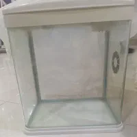 آکواریوم