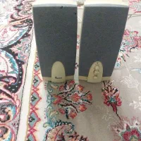 فروش یک جفت بلنوگو