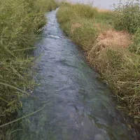 فروش زمین ملی مسکن دونفره