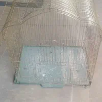 قفس پرندگان (( متوسط ))