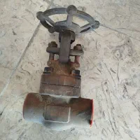 شیر توپی سوزنی