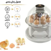 دستگاه جوجه کشی مینی کاکس ۱۰ تایی (شرکتی)|لوازم جانبی حیوانات|تهران, ایران|دیوار