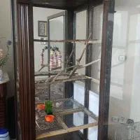 قفس پرنده بوفه