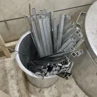 جا سیخی