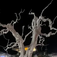 استخدام نگهبان‌ کارخانه