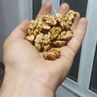 مغز گردو