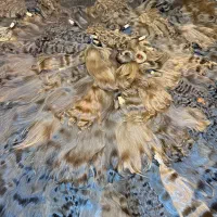 نمایندگی خریداری مو موی طبیعی