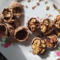گردو نیشابور.مغز روغنی.خشک خشک .