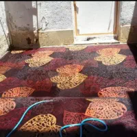 فرش|فرش|اهواز, بیست متری شهرداری|دیوار