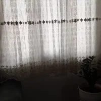 پرده