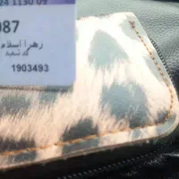 کیف|کیف، کفش، کمربند|شیراز, قلات|دیوار